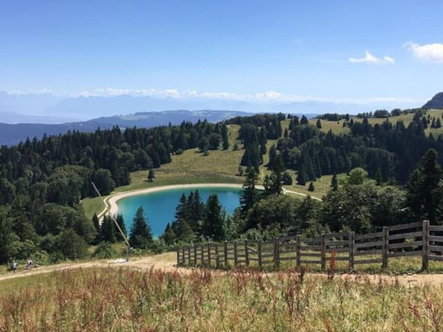 Studio « Le Petit Montagnard » Malbuisson Zewnętrze zdjęcie