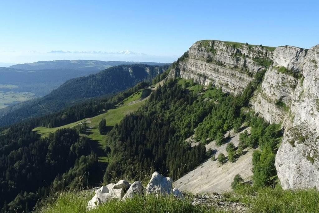 Studio « Le Petit Montagnard » Malbuisson Zewnętrze zdjęcie