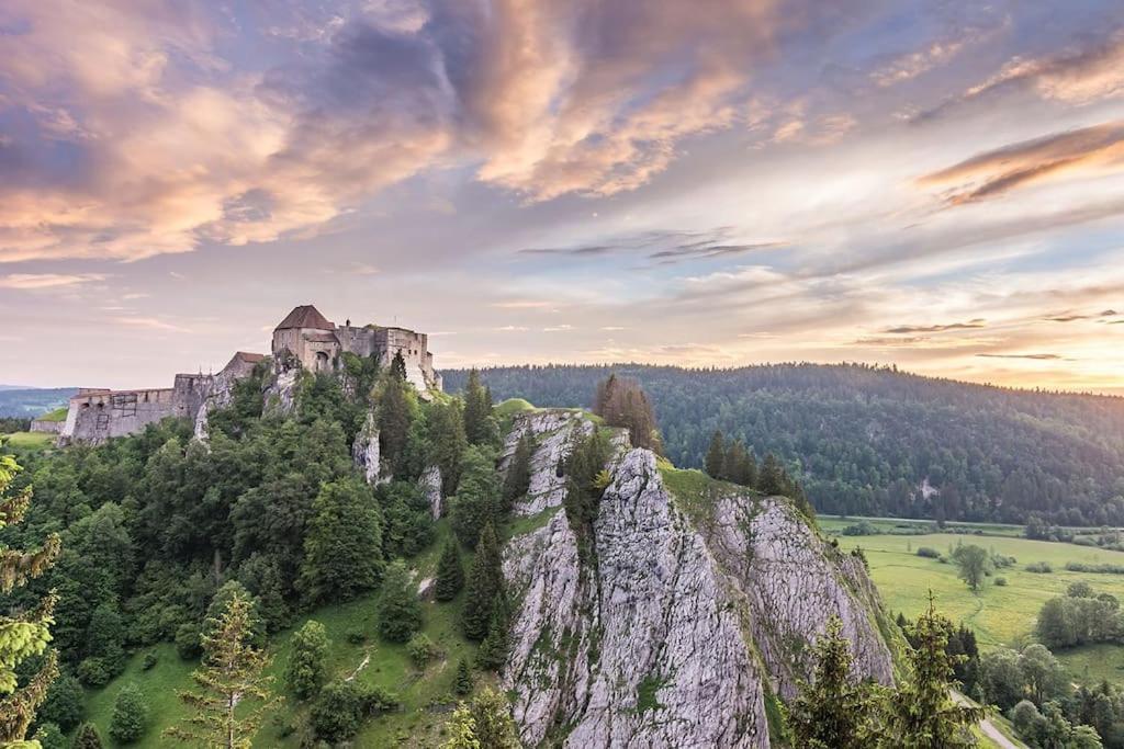 Studio « Le Petit Montagnard » Malbuisson Zewnętrze zdjęcie